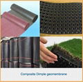 Cheap price Drainage Board HDPE Composite Dimple geomembrane