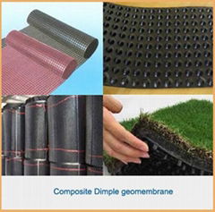 Cheap price Drainage Board HDPE Composite Dimple geomembrane