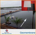 fish farm pond tunnel liner EVA ECB geomembrane  1