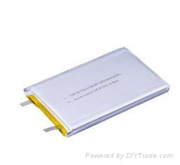 Li-polymer battery