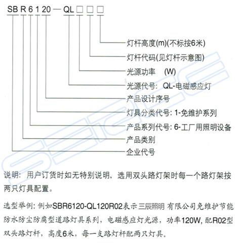 65W双头马路灯 5