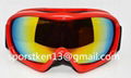 Snowboard goggle with dual lens 1