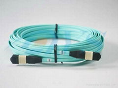 MPO-MPO Optical Patch Cord