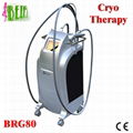 Beir double handles Cryotherapy body slimming machine 2