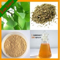 Hot Sale Ginkgo Leaf Extract Ginkgo Flavones