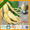 Natural 10~80% Ginsenoside Ginseng Extract 