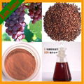 Skin Care Grape Seeds Extract Powder Proanthocyanidins 