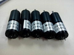 China 12V Micro DC motor TE16KM-12-384