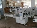 Full Automatic Flow Packing Machine 2