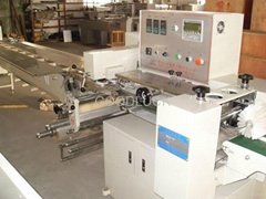  GLZ590 Automatic Flow Biscuit Packaging Machine
