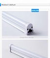 Zhongshan factory t5 led tube led lighting manufacturer   5