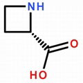 2133-34-8 (S)-(-)-2-Azetidinecarboxylic