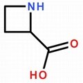 20063-89-2 DL-Azetidine-2-carboxylic