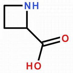 20063-89-2 DL-Azetidine-2-carboxylic acid