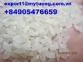 Vietnam round rice cheap quotation skype: sarah.mytuongrice