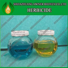 Herbicide Glyphosate 