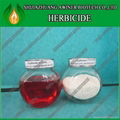 Herbicide Glyphosate  5