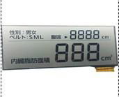 Segment LCD Module 2