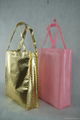 non woven shopping bag 1