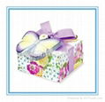 2013 Popular butterfly cube set 