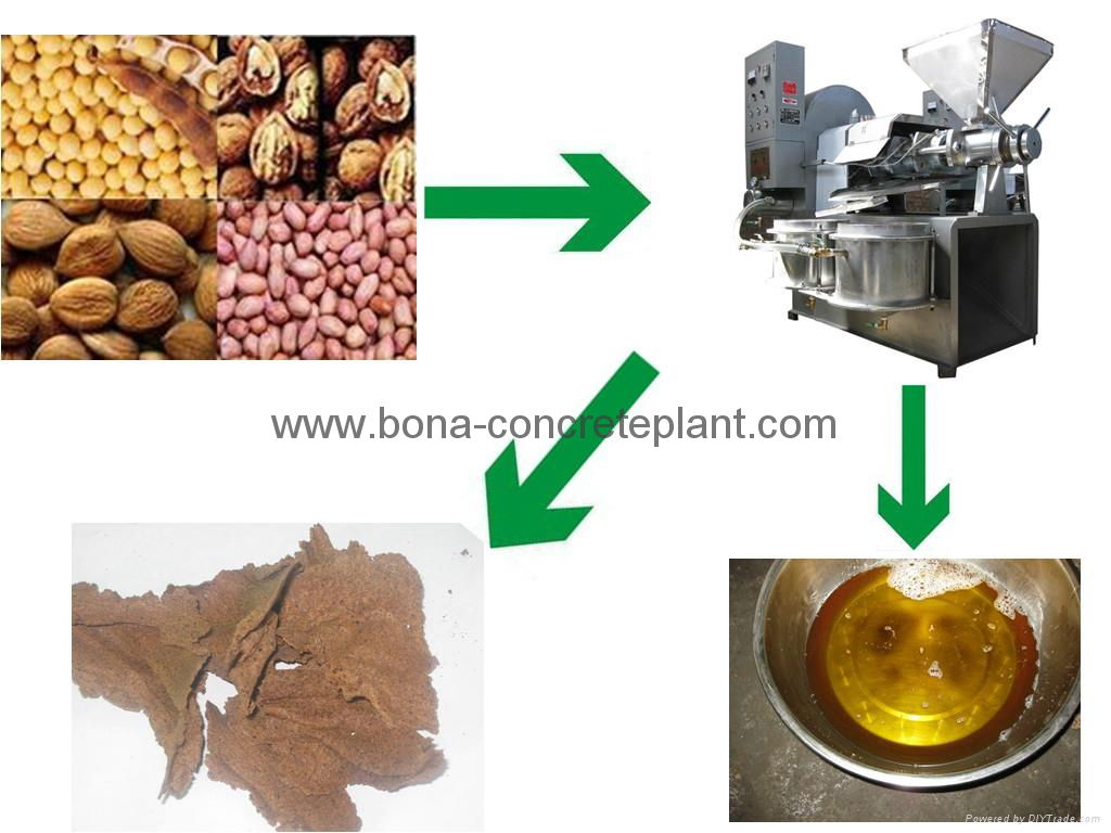 Automatic palm oil press machine D-1685 with good quality 4