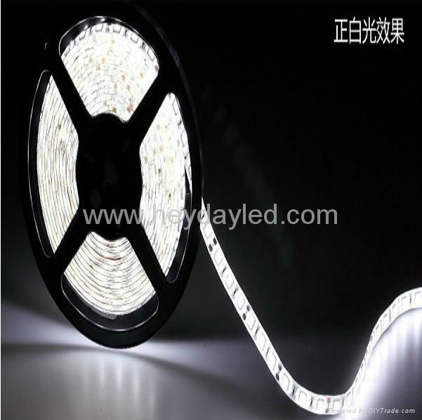 color changing led rope light led strips 3