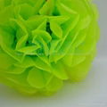 Tissue Paper Pom Pom 1