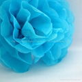 Tissue Paper Pom Pom 2