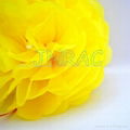 Wedding Tissue Paper Pom Pom