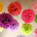 Hanging Paper Flower Ball 2