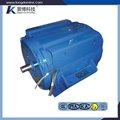Three-phase Asynchornous AC traction motor ac motor 110kW ac motor for battery