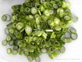 IQF/Frozen scallion/spring onion pieces 1