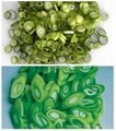  5mm IQF/Frozen beveling scallion pieces(Φ 20mm) 2