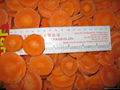 IQF/Frozen carrot slices 1