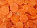 IQF/Frozen carrot slices 3