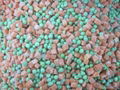 IQF/Frozen vegetables(carrot&pea)