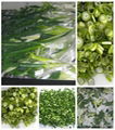  5mm IQF/Frozen beveling scallion pieces(Φ 20mm) 3