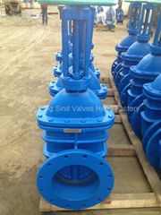 Rsing Metal Seated Stem ANSI125/150 gate valves