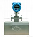 Mass Flow Meter 1