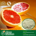 Natural Organic Citrus Fruit Extract Naringin 98% 1