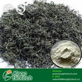 vine tea extract 98% Dihydromyricetin