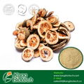 Citrus Aurantium Extract 95% Hesperidin