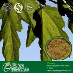 1% Mulberry leaf extract 1-Deoxynojirmycin 1-DNJ