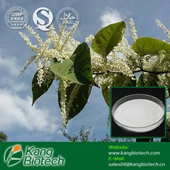 Giant Knotweed Extract Trans-Resveratrol Powder 98%