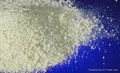 whole cow milk powder