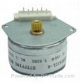 25BY412L/S permanent magnet stepper motor 1