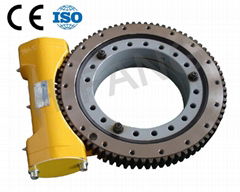 Worm Gear S9-61-BH-R