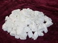 Nitrocellulose 1