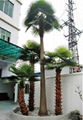 HOT artificial palm tree with wholesales price for decoration 4