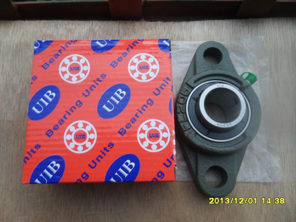 China pillow block bearing 3